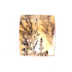Quartz  inclusions